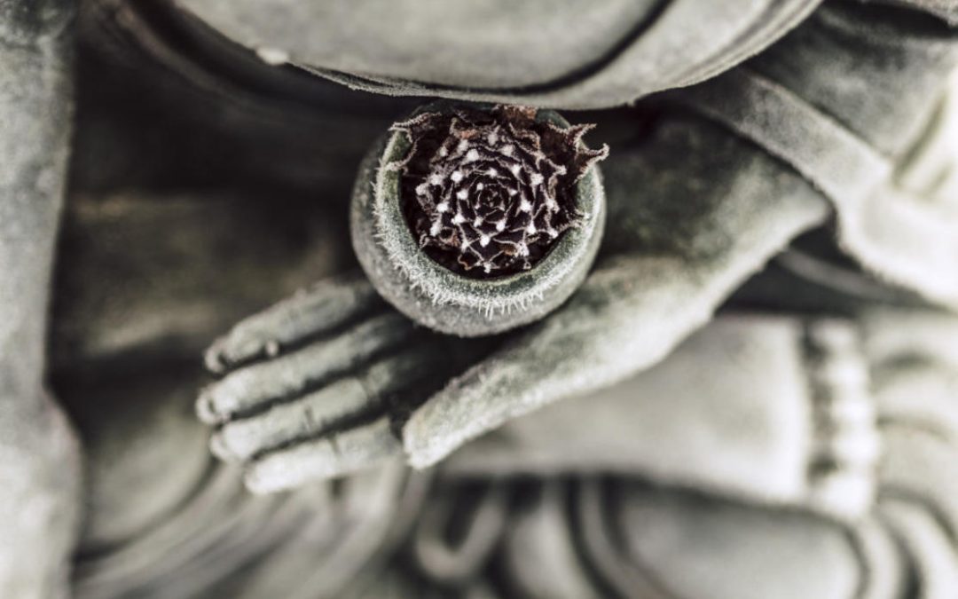 Sound Bath 25th July 2019